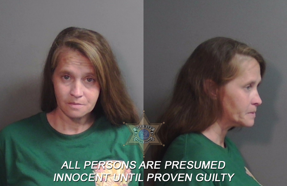 Booking photo of Dorothy Suzanne Holland