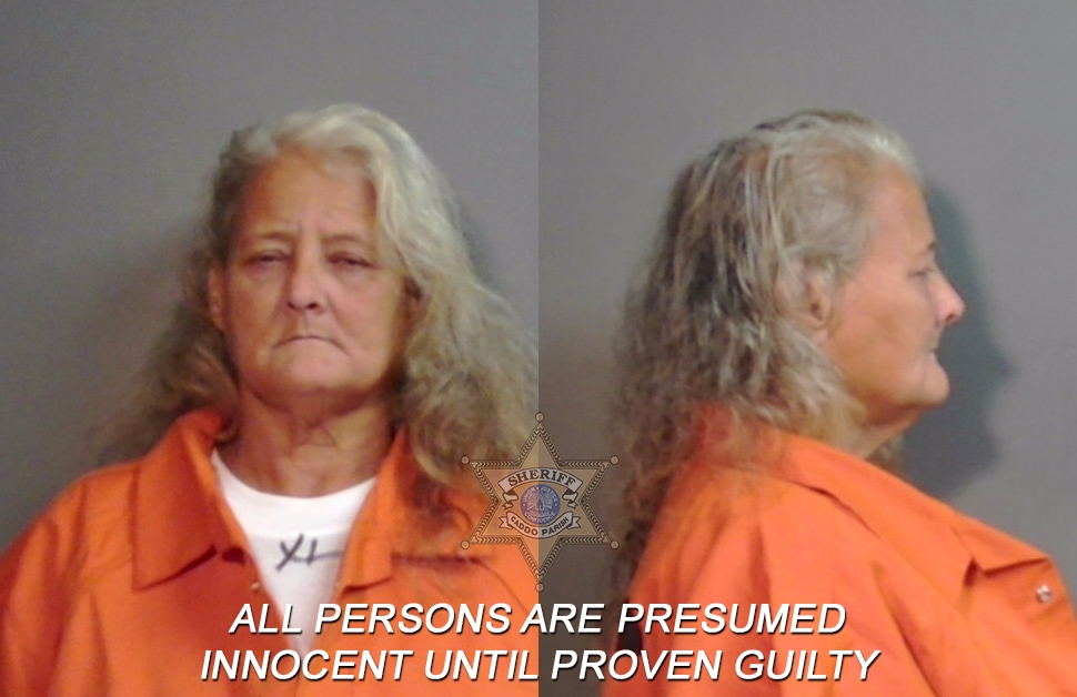 Booking photo of Michele Lee Smith