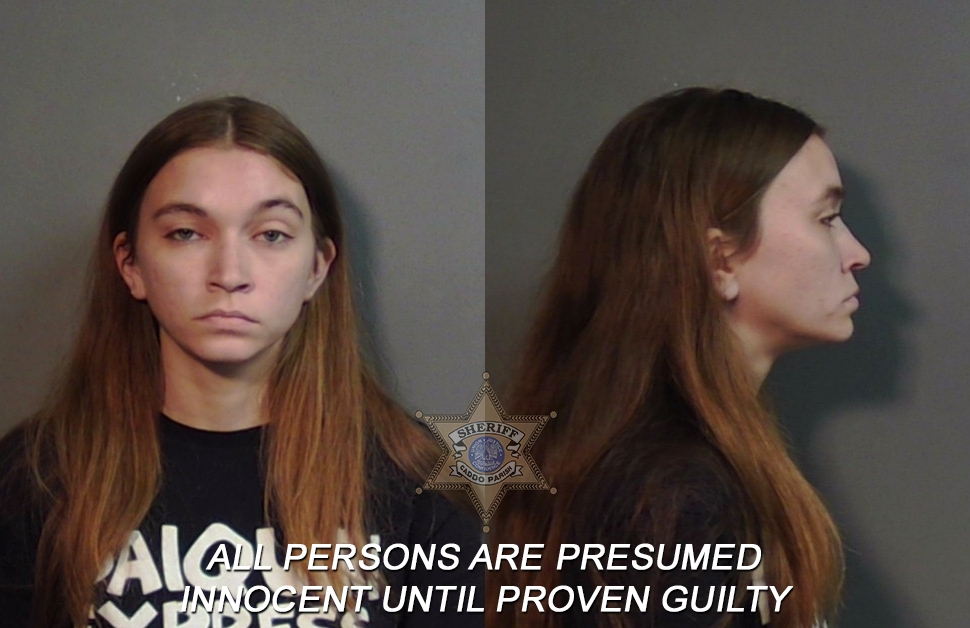 Booking photo of Christen Renee Elaine Sartor