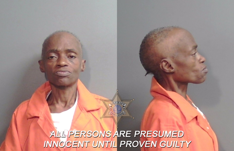 Booking photo of Mary Jane Netters