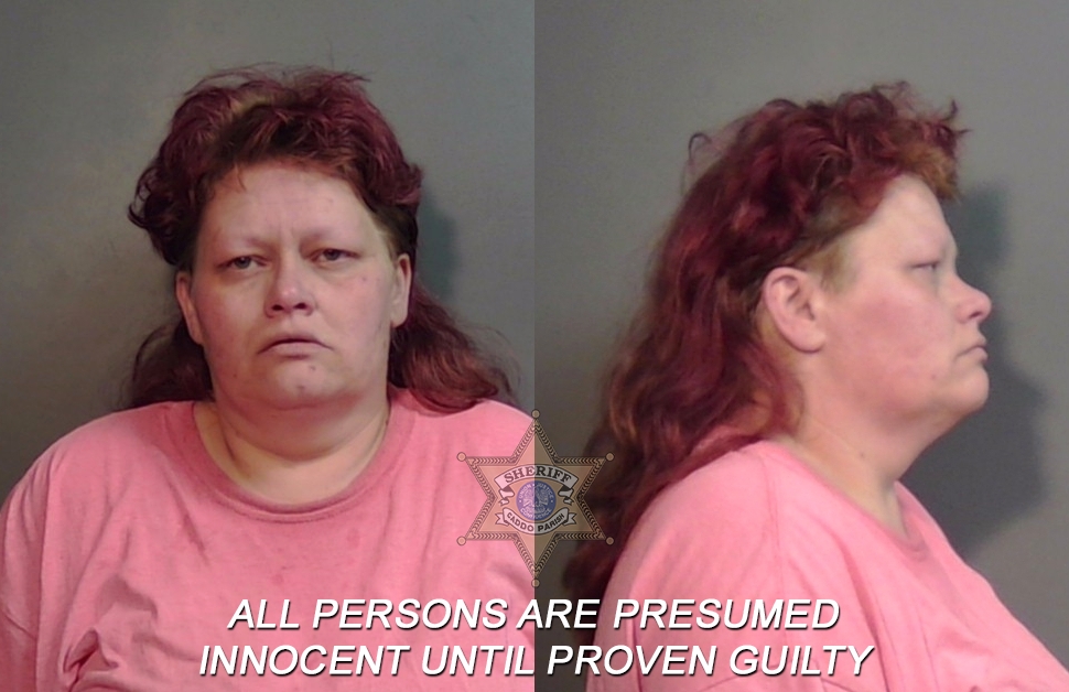 Booking photo of Misty Dawn Fincher