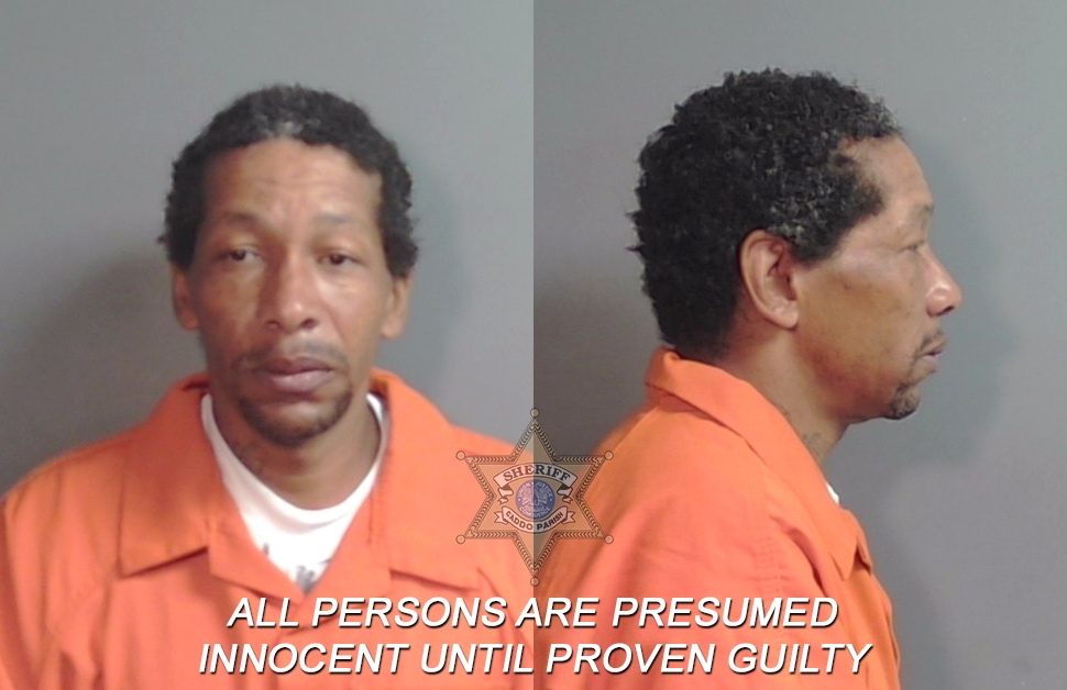 Booking photo of Synica Andrew Lewis
