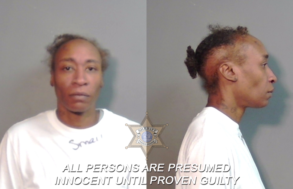 Booking photo of Chastity Dominique Freeman