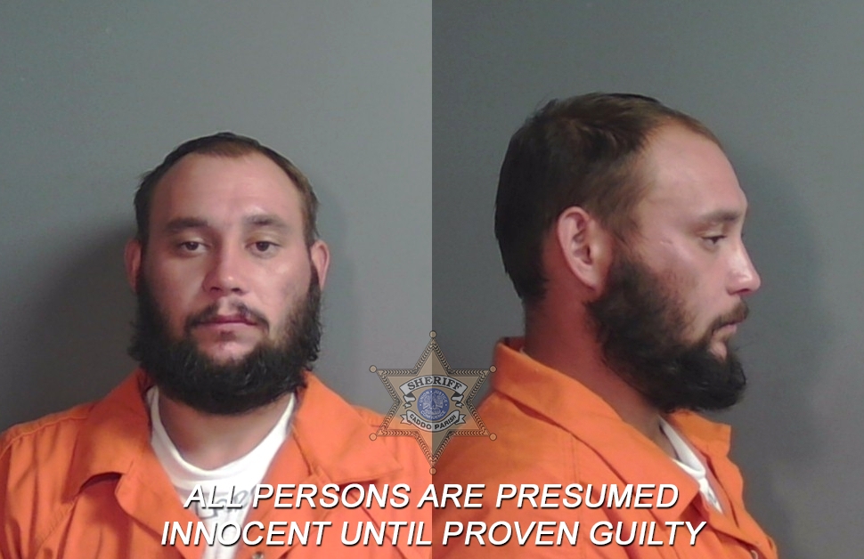 Booking photo of Audie James Woodall