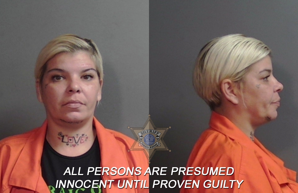 Booking photo of Wanda Kristene Ferlito