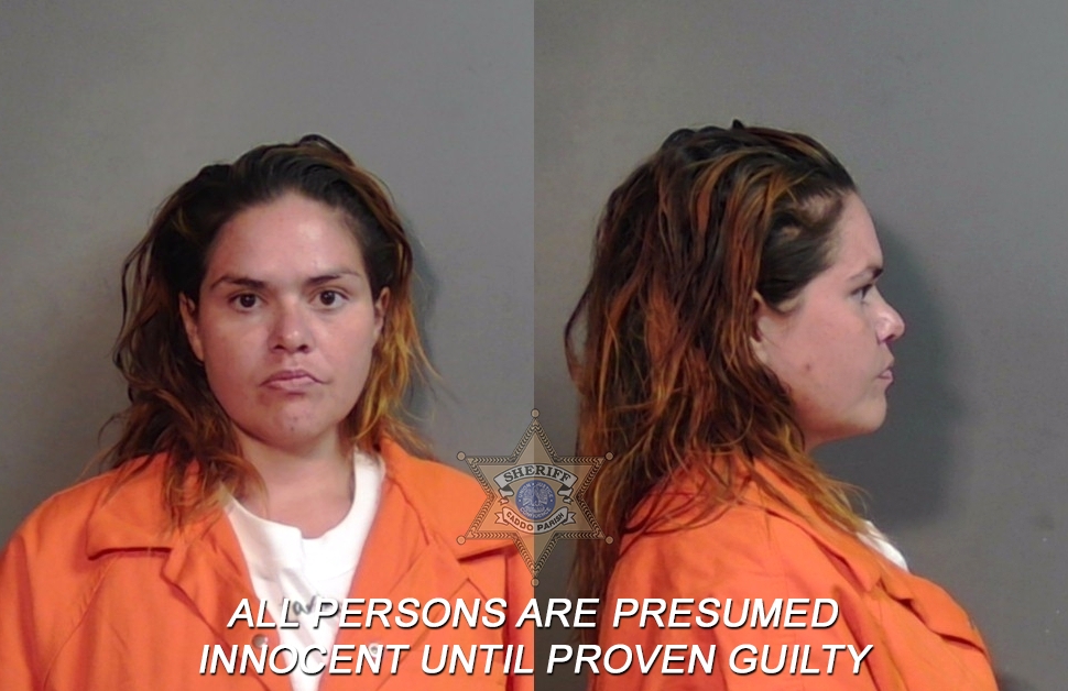 Booking photo of Brittney Nicole Rayburn