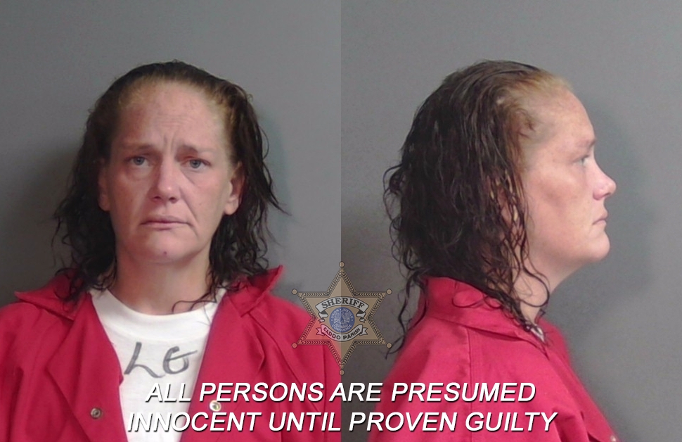 Booking photo of Hollie Jean Scroggins