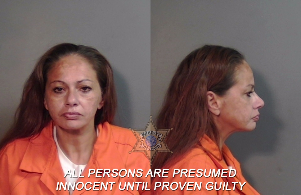 Booking photo of Sally Lee Harris