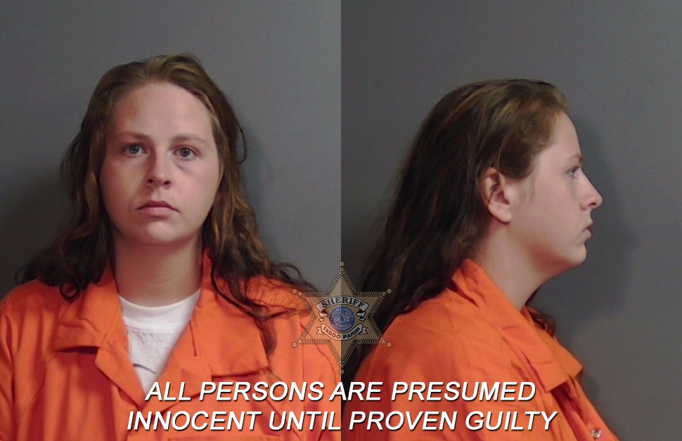 Booking photo of Hannah Nicole Fiebiger