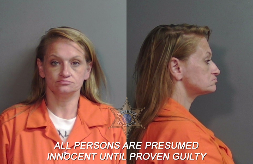 Booking photo of Sommer Dawn Paige