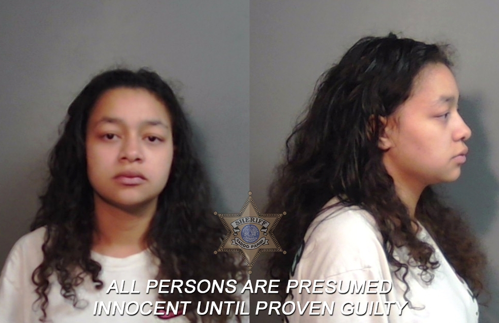 Booking photo of Jasmine Rashon English
