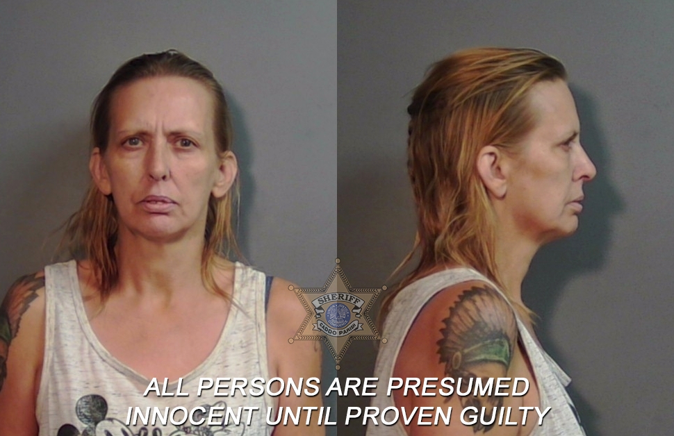 Booking photo of Dawn Denise Logan