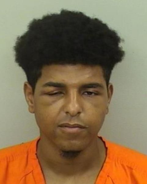 Booking photo of Trelyn Allison