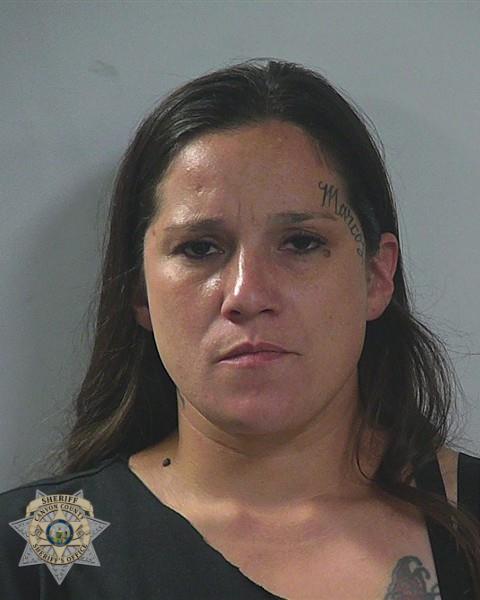Booking photo of Danyel Mina Avila