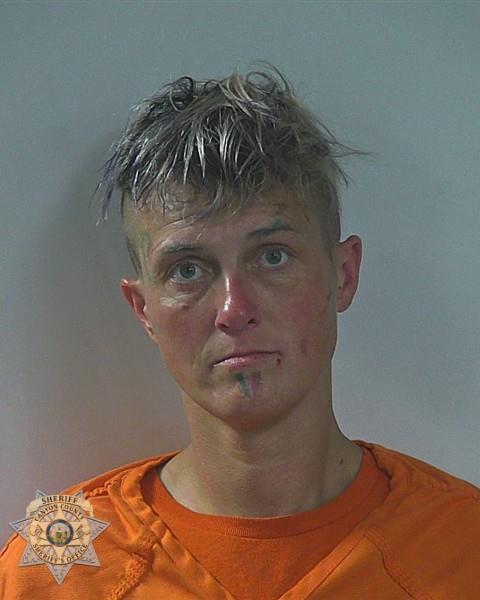 Booking photo of Tera Lynn Filan