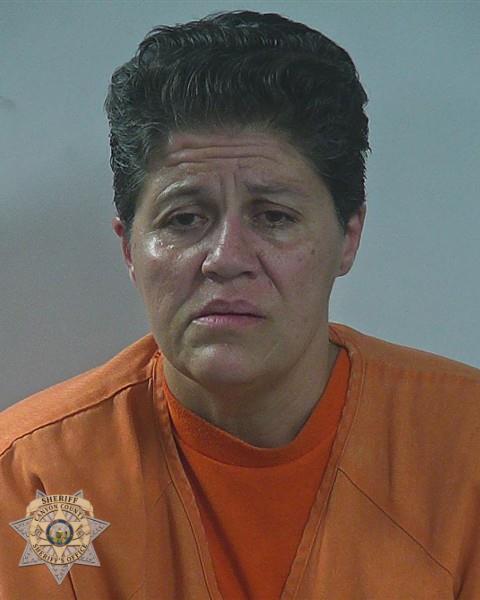 Booking photo of Machelle Marie Anderson