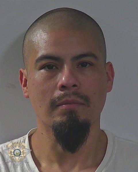 Booking photo of Jesus Ricardo Lozoya Silva
