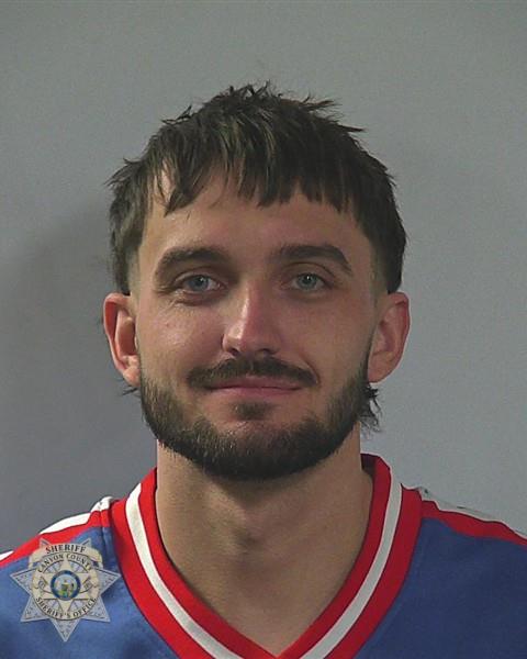 Booking photo of Devyn Don-steven Ferdig
