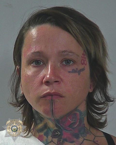 Booking photo of Desiree Ann Von Hollywood