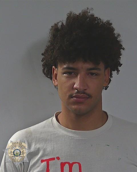 Booking photo of Taryn Reese Watson