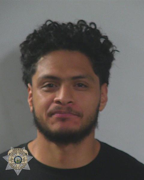 Booking photo of Jared Palominos Ferraez