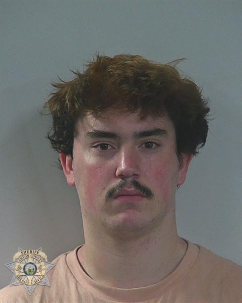 Booking photo of Travis James Sturgis