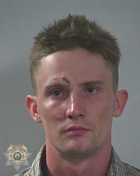 Booking photo of Braedyn Lee Allen Walliser