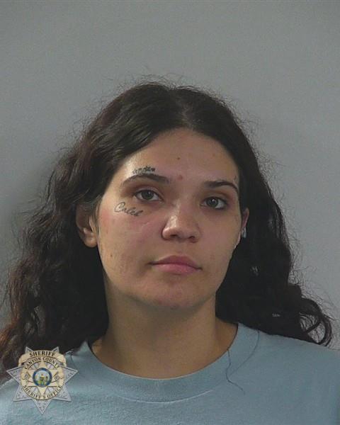 Booking photo of Faye Lyndell Derks
