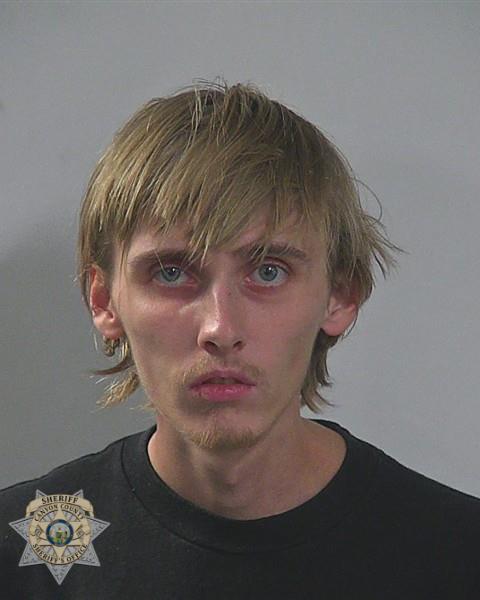 Booking photo of Devyn Leije Gerla