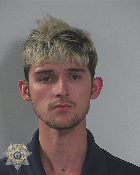 Booking photo of Alexander Earl Watkins