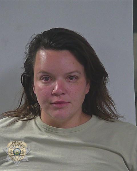 Booking photo of Britney Elise Rylee Jade Mcdaniel