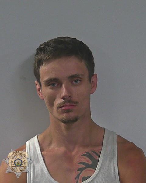 Booking photo of Seth William Waite
