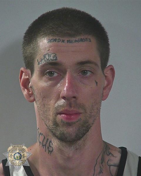 Booking photo of Maximilian Alexander Raley