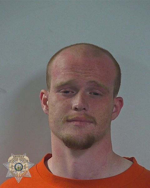 Booking photo of Tanner Mcgavin William Linn