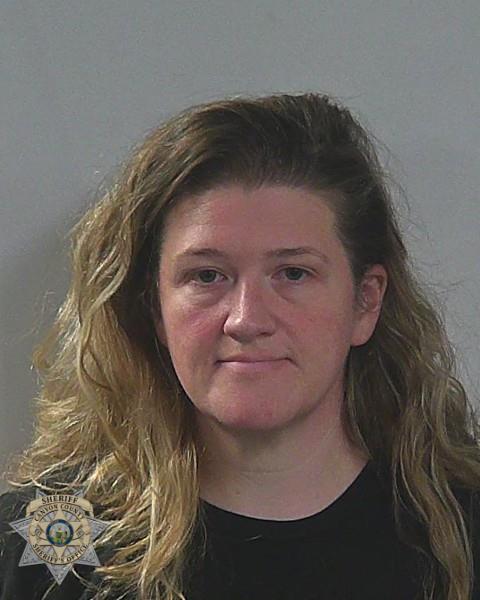 Booking photo of Danyell Marie Vanbergen