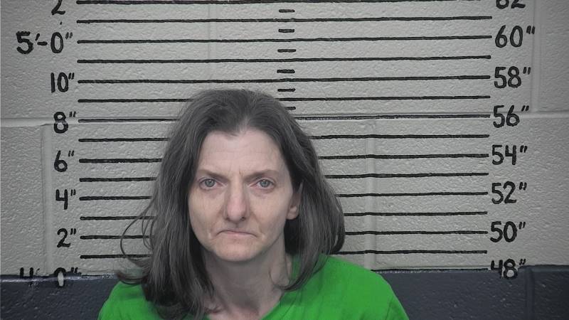 Booking photo of April Lyons