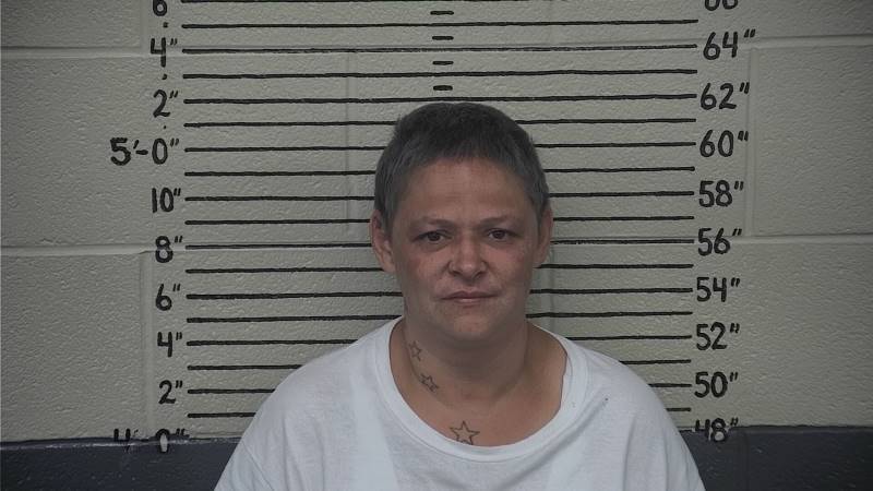 Booking photo of Heather Woodford