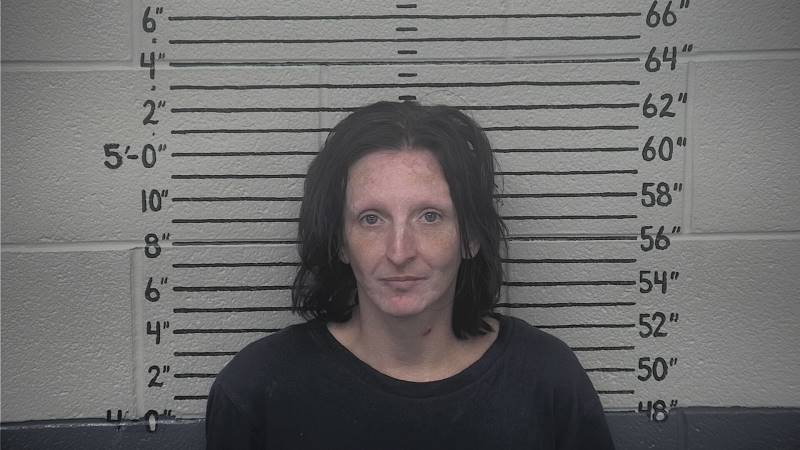 Booking photo of Ashley King