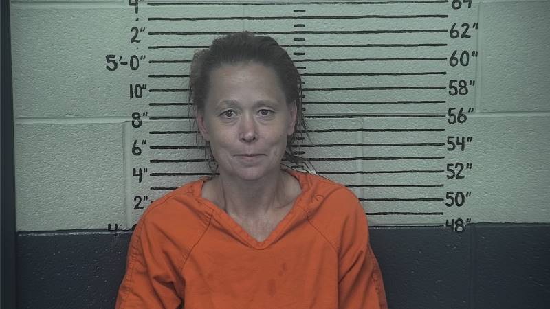 Booking photo of Deanna Lemaster