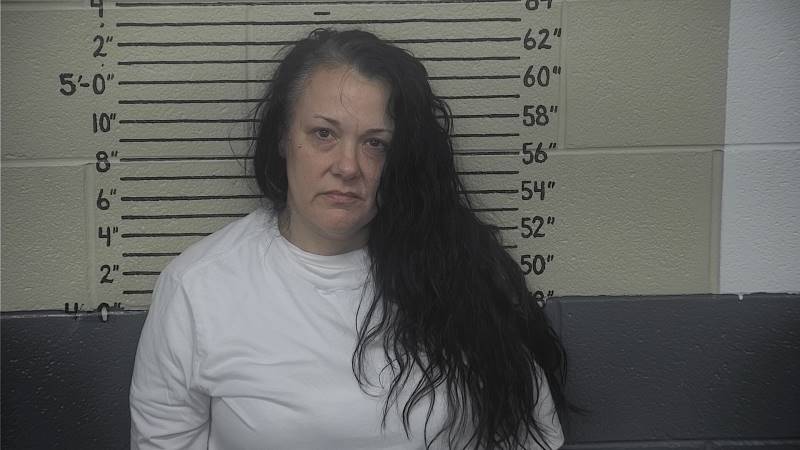 Booking photo of Stephanie Bodkins