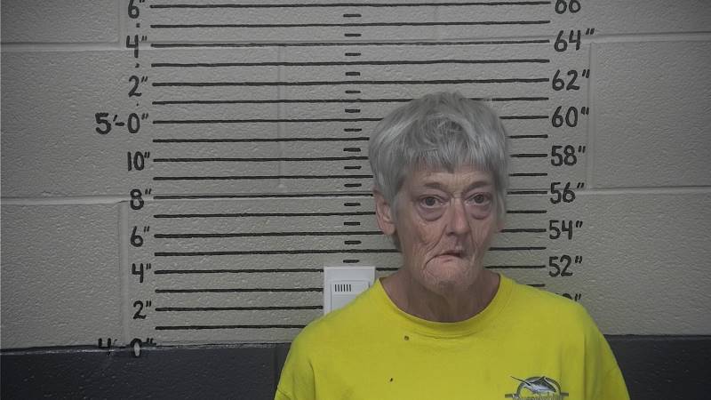 Booking photo of Linda Gee