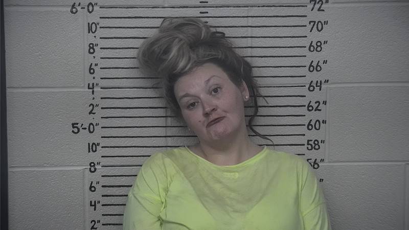 Booking photo of Amanda Kimmel