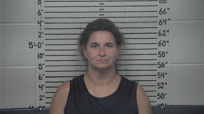 Booking photo of Amie Hale