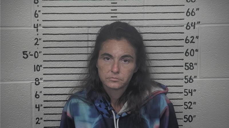 Booking photo of Rachel Bays