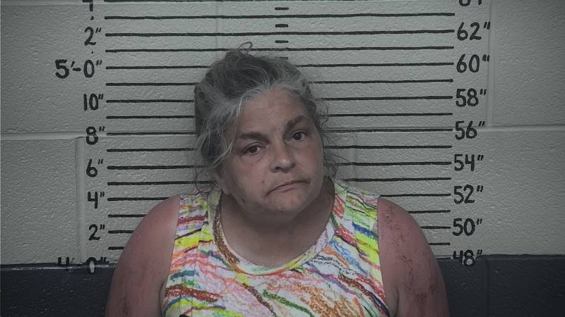 Booking photo of Diana Layne