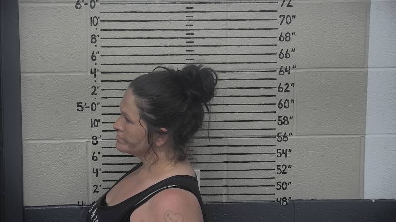 Booking photo of Jessica George