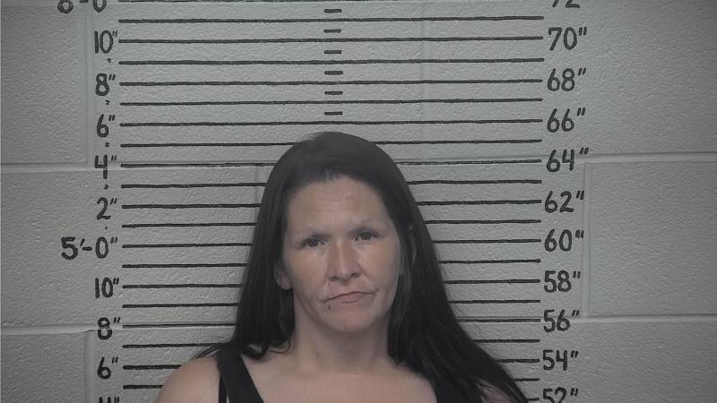 Booking photo of Jessica George