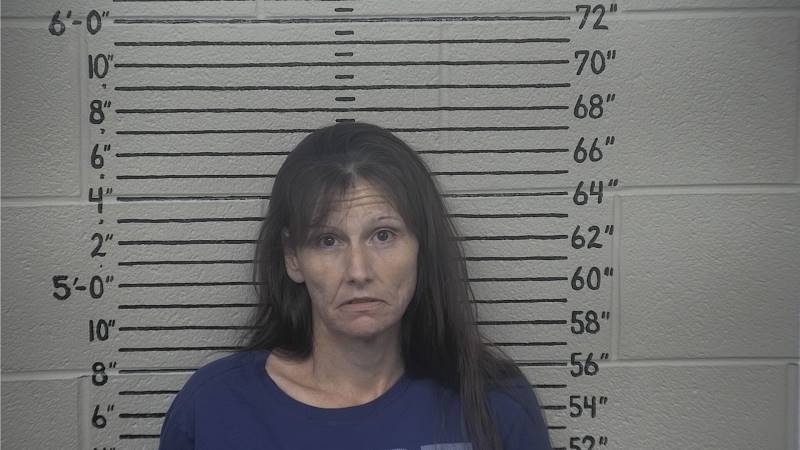 Booking photo of Crystal Hill