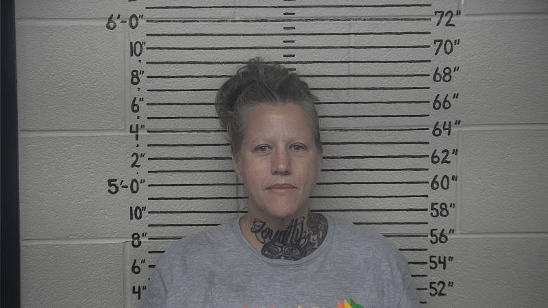 Booking photo of Amber Lester