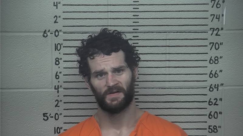 Booking photo of Tristan Watkins